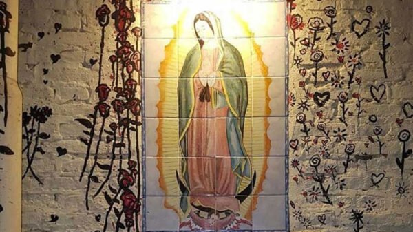 Ataque de Abortistas Virgen de Guadalupe