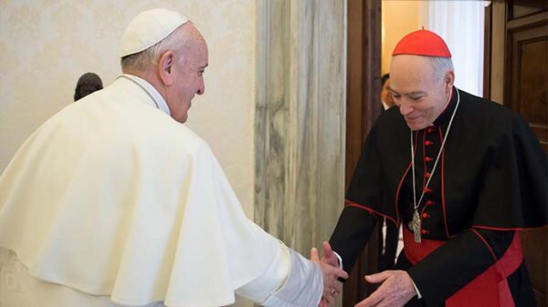 Solidaridad y fidelidad al Papa Francisco