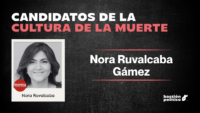 Retrato periodístico de la senadora Nora Ruvalcaba Gámez sobre un fondo institucional en el marco del análisis político electoral de Aguascalientes.